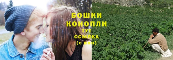 прущие грибы Зеленокумск