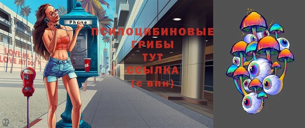 прущие грибы Зеленокумск