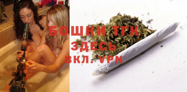 прущие грибы Зеленокумск