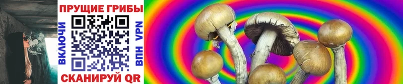 Купить Ливны Псилоцибиновые грибы мицелий